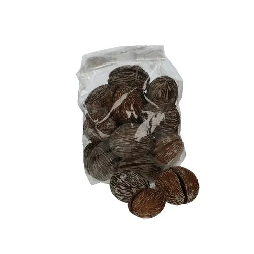 Sušený materiál Mintolla guľa 6- biela 10 cm