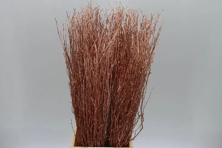 Breza Copper Glitter 70 cm