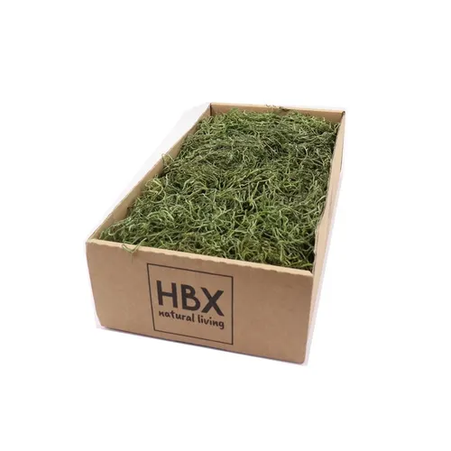 Mach Tillandsia 350 g
