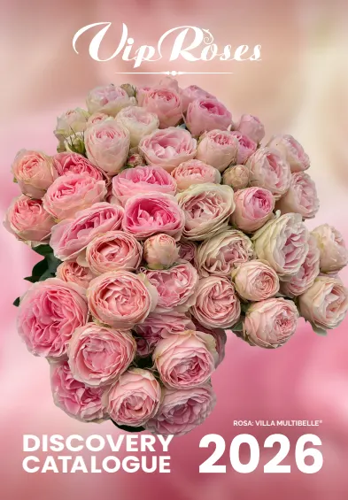 Brochure (roses) Vip Assortment 2026 10 cm