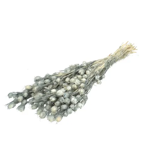 Stabilizovaná černuška 55 cm, sivá