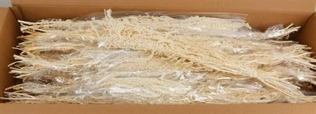 Amaranthus Bleached, sušené 60 cm