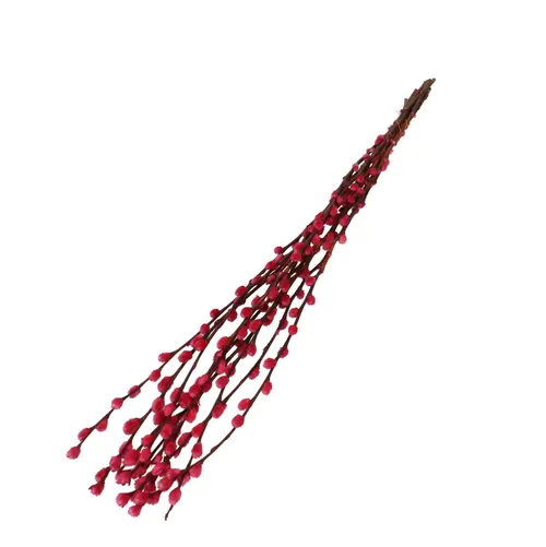 Sušený kvet Willow catkins fuksiová 70 cm
