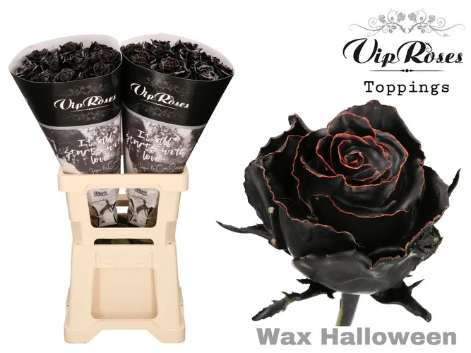 R Gr Wax Halloween X20 70 cm