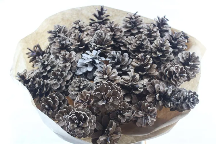 Denn Naturel, sušené 50 cm