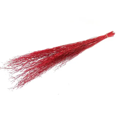 Sušený kvet Mustard grass červená 90 cm