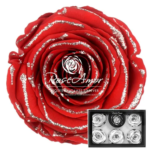 Stabilizovaná ruža XL ⌀ 6 cm, červená so strieborným okrajom RED02
