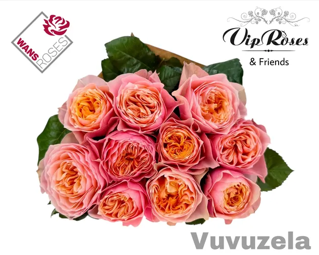 R Gr Vuvuzela 60 cm