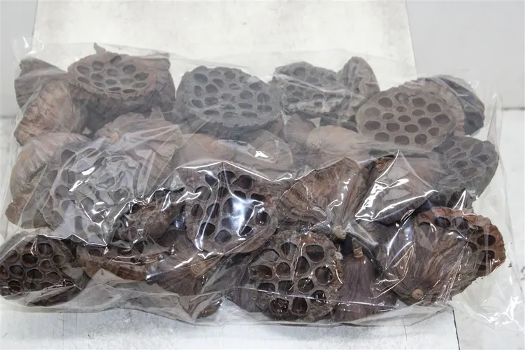 Dried Lotus D08/10cm X50