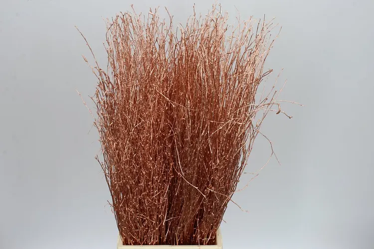 Berk Copper 70 cm