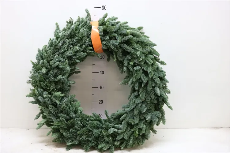 Wreath Half 70cm 70 cm