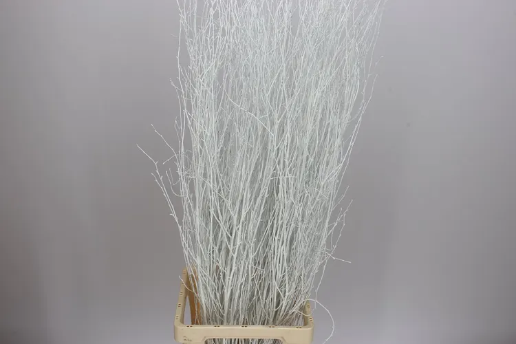 Berk White 120 cm