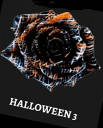 Ruža farbená Halloween 3, Ekvádor 50 cm